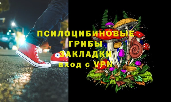 PSILOCYBIN Надым