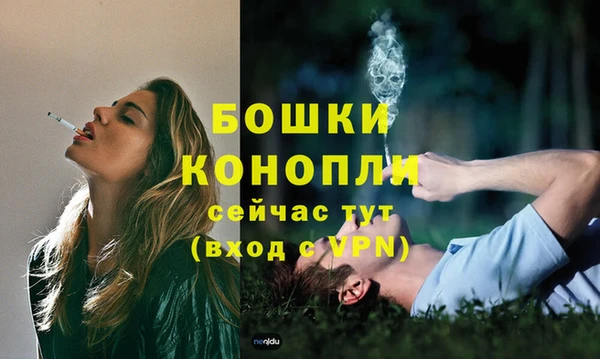 сатива Навашино