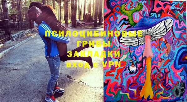 PSILOCYBIN Надым