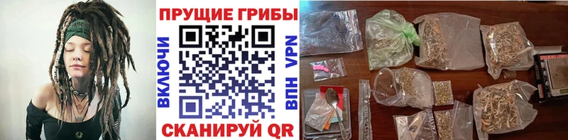 hydra онион  Владимир  Псилоцибиновые грибы Psilocybine cubensis 